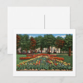 Tulip Time Holland, Michigan Briefkaart (Voorkant / Achterkant)