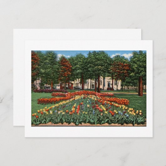 Tulip Time Holland, Michigan Briefkaart (Voorkant / Achterkant)