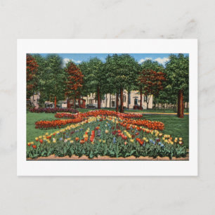 Tulip Time Holland, Michigan Briefkaart
