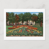 Tulip Time Holland, Michigan Briefkaart (Voorkant)