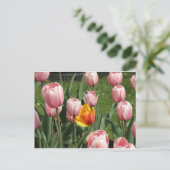 Tulip Treasure Briefkaart (Staand voorkant)