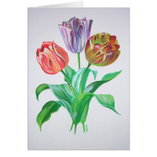 Tulip Trio Colorful Artistic Flowers