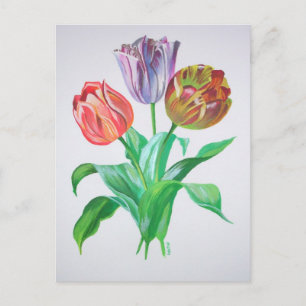 Tulip Trio Colorful Artistic Flowers Briefkaart