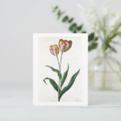 Tulip Tulip Briefkaart (Staand voorkant)