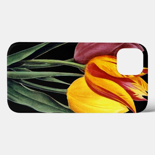 Tulip (Tulipa Gesneriana) Case-Mate iPhone Case (Achterkant (horizontaal))