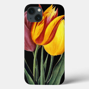 Tulip (Tulipa Gesneriana) Case-Mate iPhone Case