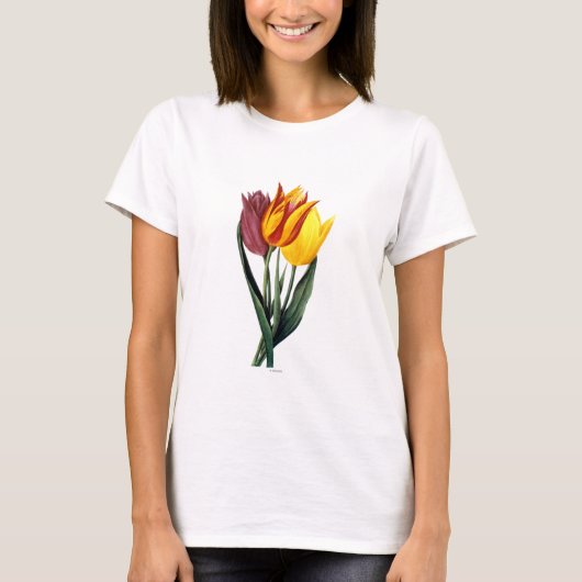 Tulip (Tulipa Gesneriana) T-shirt (Voorkant)