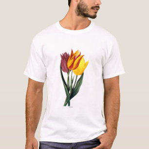 Tulip (Tulipa Gesneriana) T-shirt