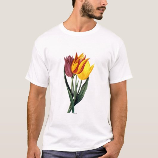 Tulip (Tulipa Gesneriana) T-shirt (Voorkant)