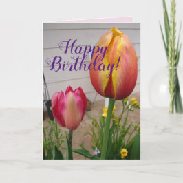 Tulip Tulips Red Pink Flower Florence Birthday Car Kaart