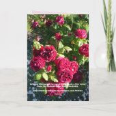 Tulip Tulips Red Pink Flower Florence Birthday Car Kaart (Achterkant)