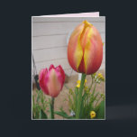 Tulip Tulips Red Pink Flower Florence Birthday Car Kaart<br><div class="desc">Tulp Tulps Red Pink Flower Floral Birthday Card. Ontworpen uit een van mijn originele foto's in de bloemtuin en mijn originele schrijfwerk,  geniet van!</div>
