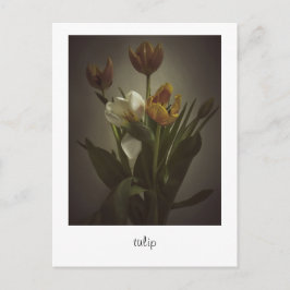 "tulip" van Heidi Rondak Photography Briefkaart