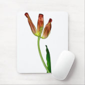 "Tulip" van J. Maya Luz Muismat (Met muis)