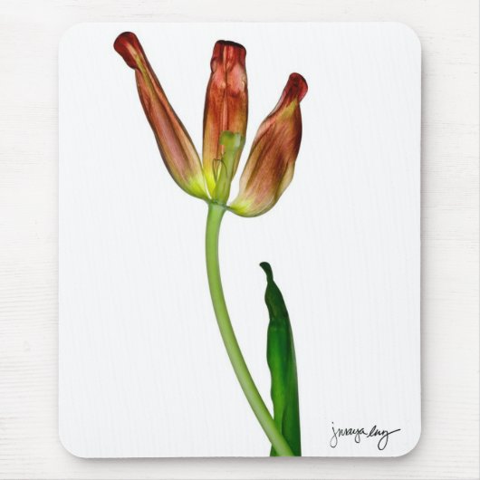 "Tulip" van J. Maya Luz Muismat (Voorkant)