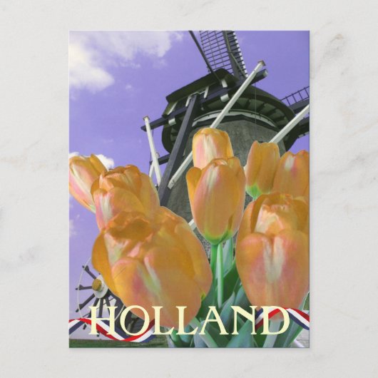 Tulip Windmill Art Holland Briefkaart (Voorkant)