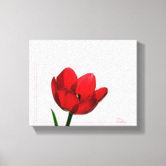 Tulip Wrapped Canvas Afdruk
