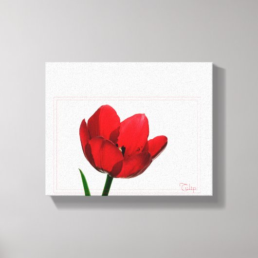 Tulip Wrapped Canvas Afdruk (Voorkant)