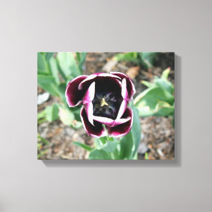 Tulip Wrapped Canvas Afdruk