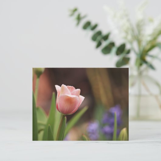 Tulipa Briefkaart (Staand voorkant)