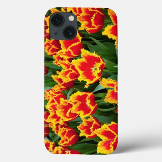 Tulipa Fabio, Keukenhof, Nederland Case-Mate iPhone Case (Achterkant)