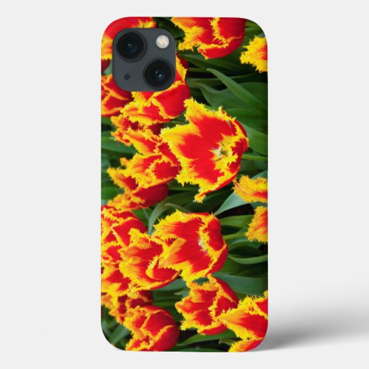 Tulipa Fabio, Keukenhof, Nederland Case-Mate iPhone Case (Achterkant)