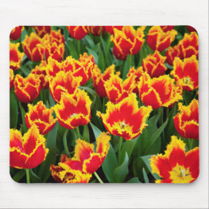 Tulipa Fabio, Keukenhof, Nederland Muismat