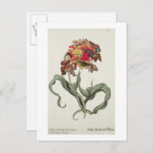 Tulipa Monstrosa Rubra Maior uit 'Phythanthoza Ic Briefkaart (Voorkant / Achterkant)