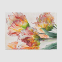 TULIPMANIA 4/6 oogverblindende papegaai tulp desig