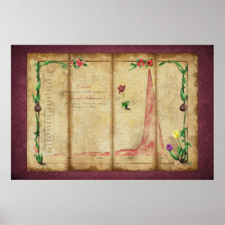 Tulipomania Graph (byzanti) Poster