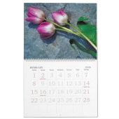 Tulipomanie kalender (Feb 2026)