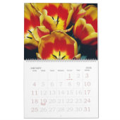 Tulipomanie kalender (Jan 2026)