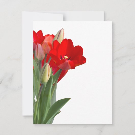Tulips (Voorkant)