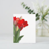 Tulips (Staand voorkant)