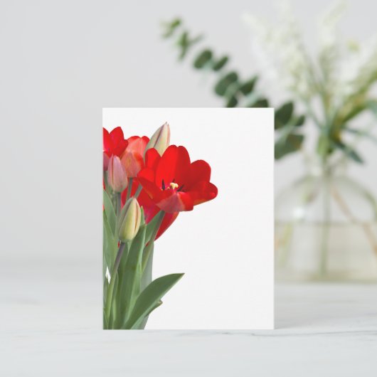 Tulips (Staand voorkant)