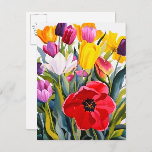 Tulips 2007 briefkaart (Voorkant / Achterkant)