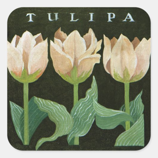 Tulips 2013 vierkante sticker (Voorkant)