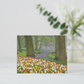 Tulips and road, Keukenhof Gardens, Lisse Briefkaart (Staand voorkant)