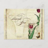  Tulips Angel Wings Swirl Tea Sined Red