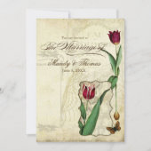  Tulips Angel Wings Swirl Tea Sined Red Kaart (Voorkant)