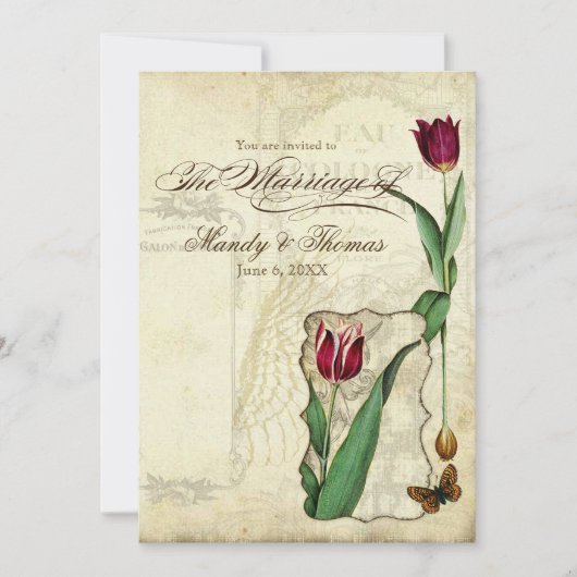  Tulips Angel Wings Swirl Tea Sined Red Kaart (Voorkant)