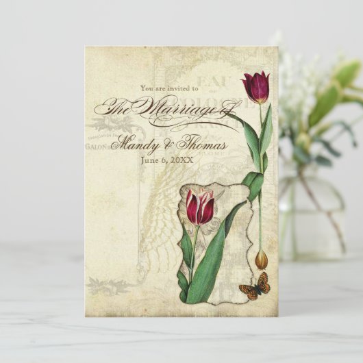  Tulips Angel Wings Swirl Tea Sined Red Kaart (Staand voorkant)