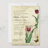  Tulips Angel Wings Swirl Tea Sined Red Kaart (Achterkant)