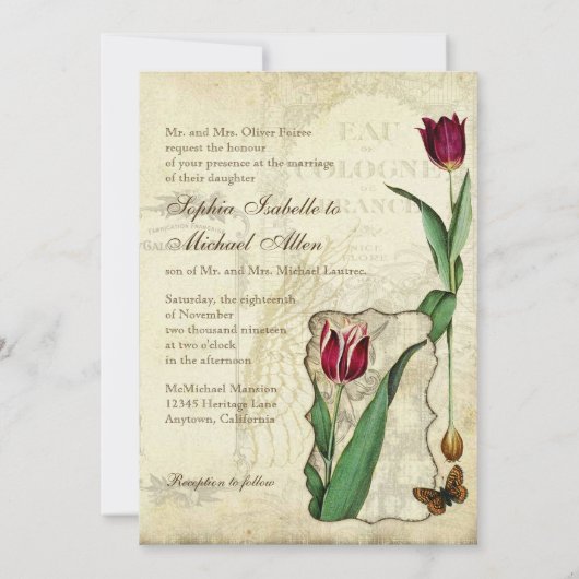 Tulips Angel Wings Swirl Tea Sined Red Kaart (Achterkant)