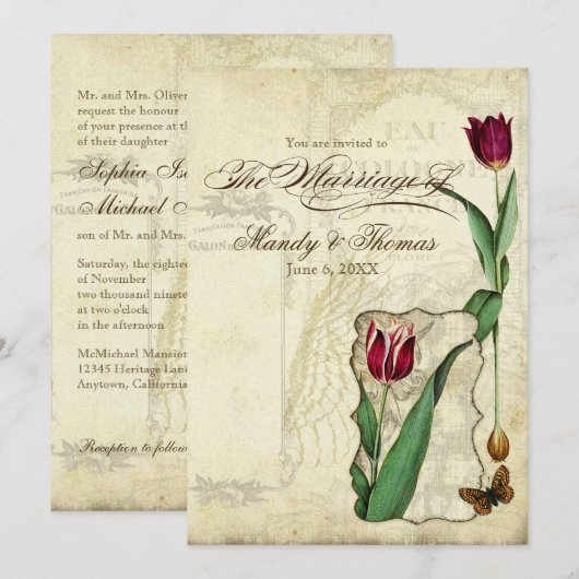  Tulips Angel Wings Swirl Tea Sined Red Kaart (Voorkant / Achterkant)