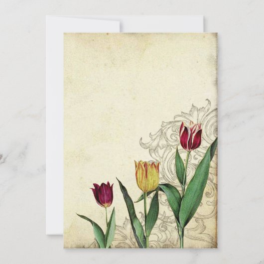 Tulips Angel Wings Swirl Tea Sined Red Kaart (Achterkant)