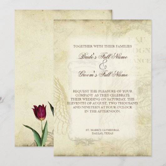  Tulips Angel Wings Swirl Tea Sined Red Kaart (Voorkant / Achterkant)