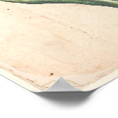 Tulips Antique Botanical Print Poster (Hoek)