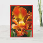 TULIPS Blanco briefkaart (Voorkant)