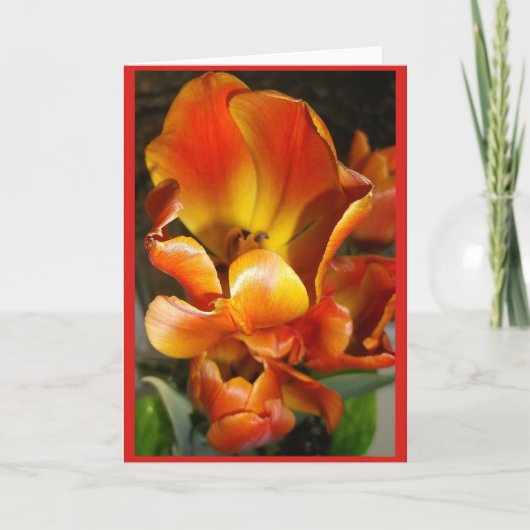 TULIPS Blanco briefkaart (Voorkant)